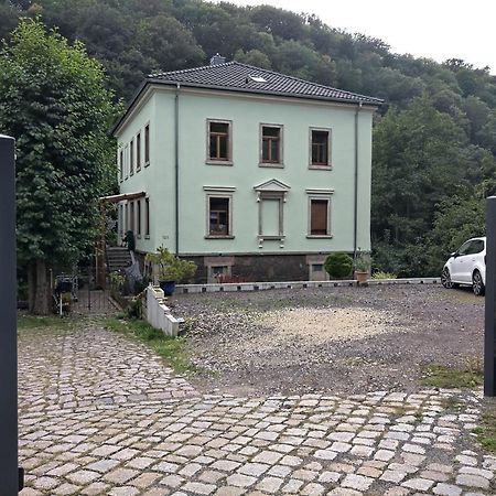 Idyllische Ferienwohnung In Zentrumsnaehe Dresden Exterior photo